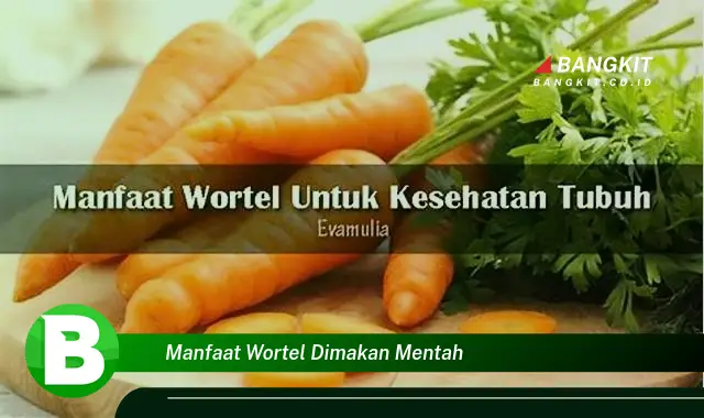 Temukan Manfaat Wortel Dimakan Mentah yang Bikin Kamu Penasaran