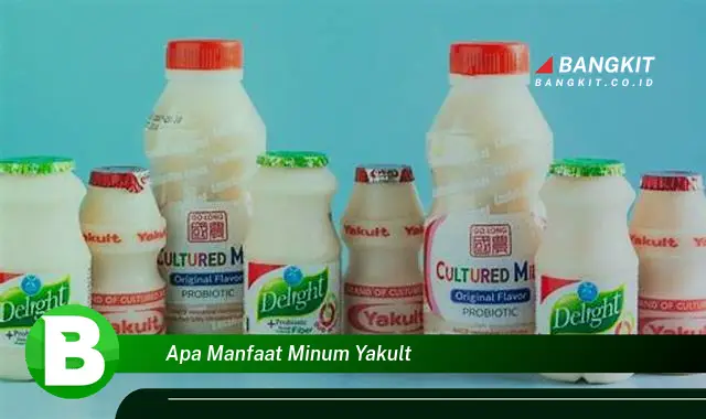 Intip Manfaat Minum Yakult yang Bikin Kamu Penasaran