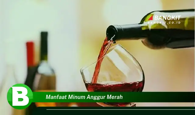 Intip Manfaat Minum Anggur Merah yang Bikin Kamu Penasaran