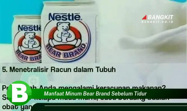 Intip Manfaat Mengonsumsi Bear Brand Sebelum Tidur yang Wajib Kamu Tahu