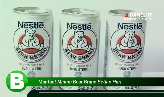 Temukan Manfaat Minum Bear Brand Setiap Hari yang Wajib Kamu Tau