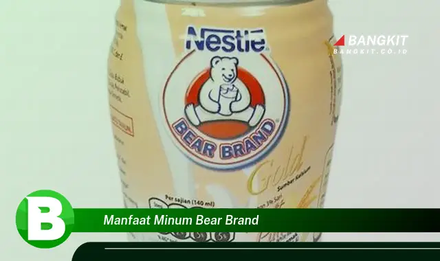 Ketahui Manfaat Minum Bear Brand yang Bikin Kamu Penasaran