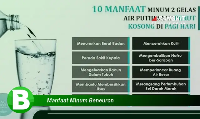 Ketahui Manfaat Minum Beneuron yang Bikin Kamu Penasaran