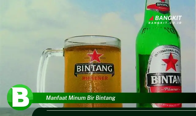 Intip Manfaat Minum Bir Bintang yang Wajib Kamu Tau