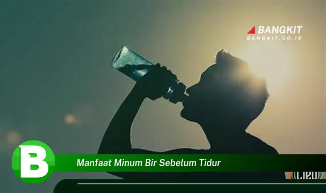 Intip Manfaat Minum Bir Sebelum Tidur yang Bikin Kamu Penasaran