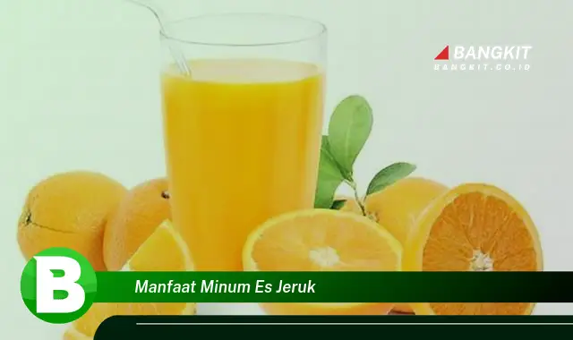 Intip Manfaat Minum Es Jeruk yang Wajib Kamu Tau!