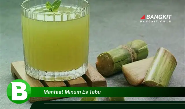 Intip Manfaat Minum Es Tebu yang Wajib Kamu Tahu