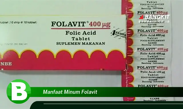 Temukan Manfaat Minum Folavit yang Bikin Kamu Penasaran