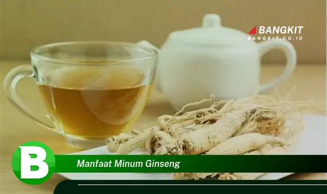 Intip Manfaat Minum Ginseng yang Wajib Kamu Tahu