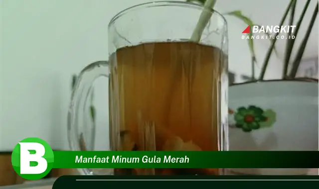 Temukan Manfaat Minum Gula Merah yang Bikin Kamu Penasaran