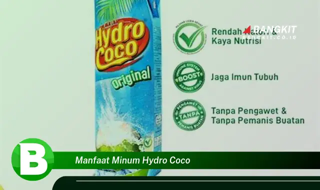 Temukan Manfaat Minum Hydro Coco yang Bikin Kamu Penasaran!