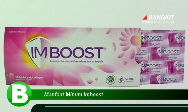 Temukan Manfaat Minum Imboost yang Bikin Kamu Penasaran