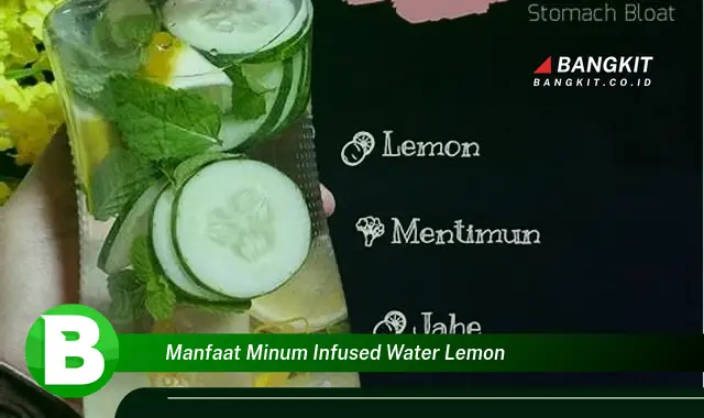 Temukan Manfaat Minum Infused Water Lemon yang Bikin Kamu Penasaran