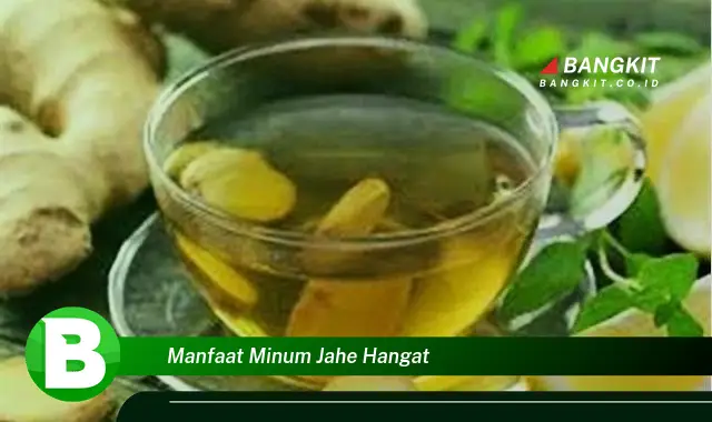 Ketahui Rahasia Manfaat Minum Jahe Hangat yang Wajib Kamu Intip