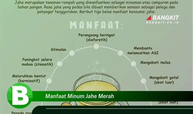 Ketahui Manfaat Minum Jahe Merah yang Bikin Kamu Penasaran