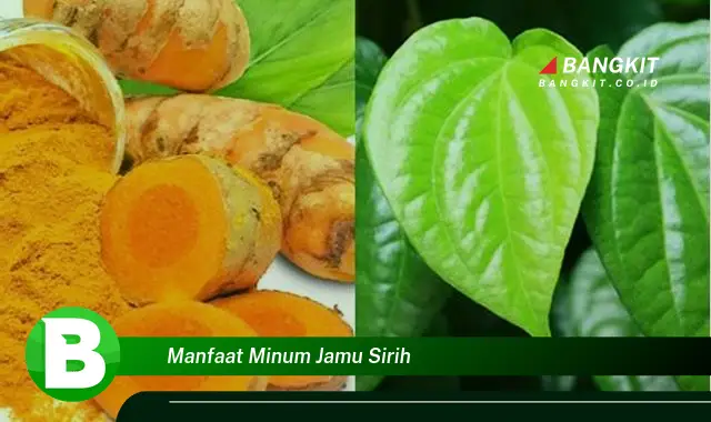 Ketahui Manfaat Minum Jamu Sirih yang Bikin Kamu Penasaran