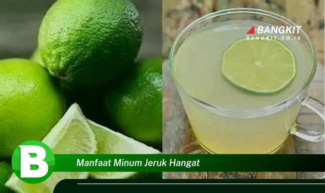 Ketahui Rahasia Manfaat Minum Jeruk Hangat yang Bikin Penasaran