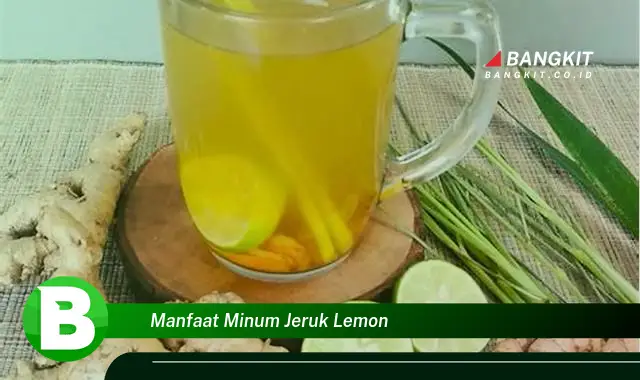 Temukan Manfaat Minum Jeruk Lemon yang Bikin Kamu Penasaran