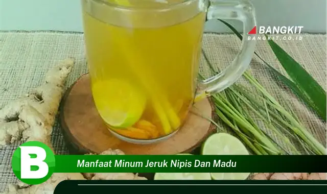 Temukan Manfaat Minum Jeruk Nipis dan Madu yang Bikin Kamu Penasaran