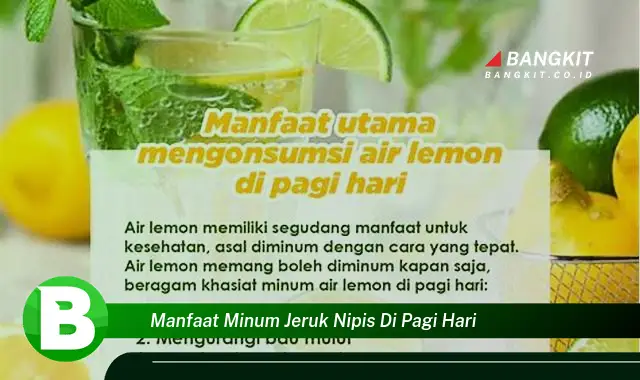 Ketahui Manfaat Minum Jeruk Nipis Pagi Hari yang Wajib Kamu Tahu