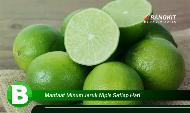 Intip Manfaat Minum Jeruk Nipis Setiap Hari yang Bikin Kamu Penasaran