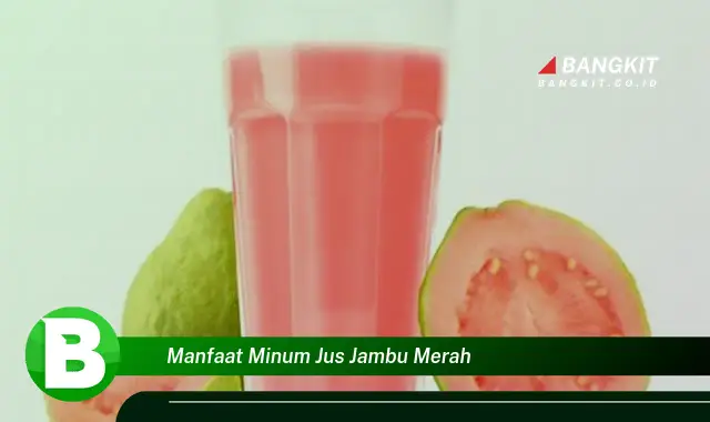 Temukan Manfaat Minum Jus Jambu Merah yang Bikin Kamu Penasaran