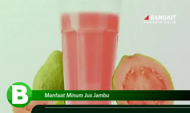 Intip Manfaat Minum Jus Jambu yang Wajib Kamu Tahu