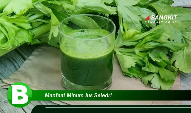 Temukan Manfaat Minum Jus Seledri yang Bikin Kamu Penasaran