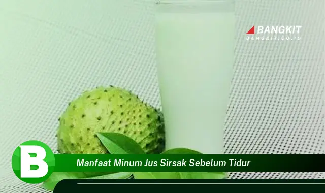 Temukan Manfaat Minum Jus Sirsak Sebelum Tidur yang Bikin Kamu Penasaran