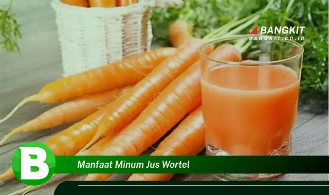 Ketahui Manfaat Minum Jus Wortel yang Membuat Kamu Penasaran