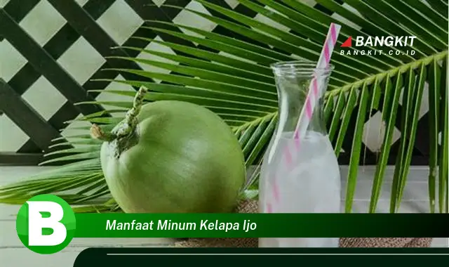 Temukan Manfaat Minum Kelapa Ijo yang Bikin Kamu Penasaran