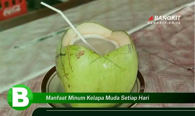 Temukan Manfaat Minum Kelapa Muda Setiap Hari yang Bikin Kamu Penasaran