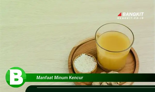 Ketahui Manfaat Minum Kencur yang Wajib Kamu Tahu