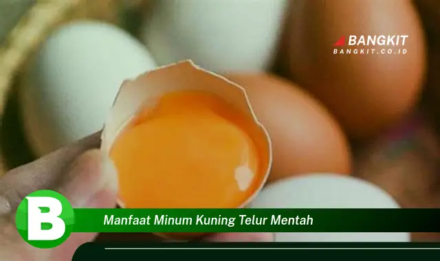 Intip Manfaat Minum Kuning Telur Mentah yang Wajib Kamu Tahu