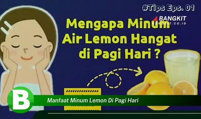 Intip Manfaat Minum Lemon di Pagi Hari yang Bikin Kamu Penasaran