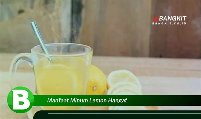 Ketahui Manfaat Minum Lemon Hangat yang Bikin Kamu Penasaran