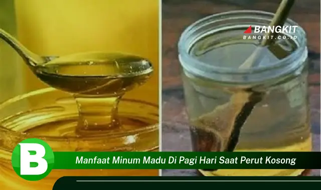 Intip Manfaat Minum Madu Pagi Hari saat Perut Kosong yang Bikin Kamu Penasaran