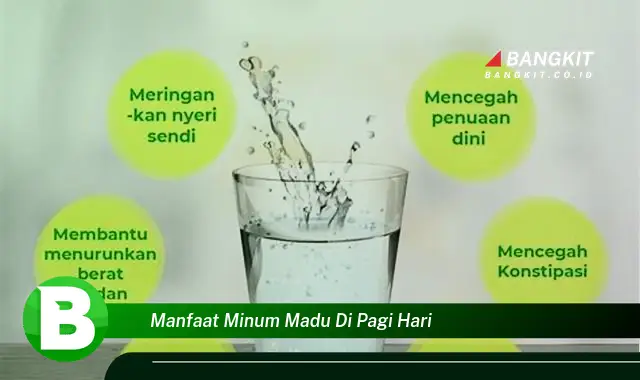 Intip Manfaat Minum Madu di Pagi Hari yang Bikin Kamu Penasaran