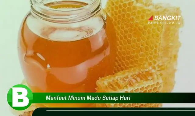 Intip Manfaat Minum Madu Setiap Hari yang Bikin Kamu Penasaran