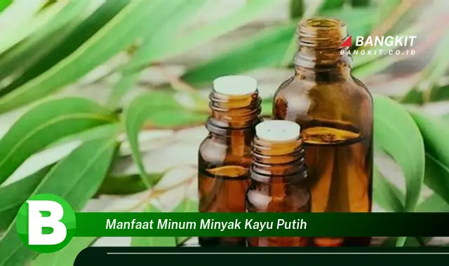 Temukan Manfaat Minum Minyak Kayu Putih yang Wajib Kamu Intip