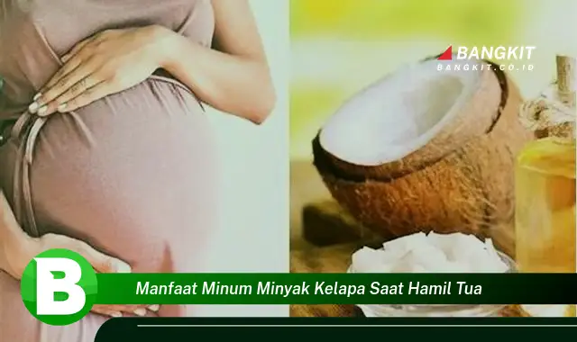 Intip Manfaat Minum Minyak Kelapa saat Hamil Tua yang Bikin Kamu Penasaran