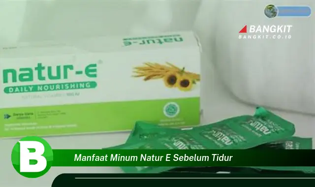 Ketahui Manfaat Minum Natur E Sebelum Tidur yang Wajib Kamu Tahu