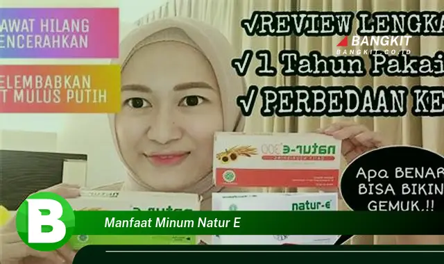 Temukan Manfaat Minum Natur-E yang Bikin Kamu Penasaran