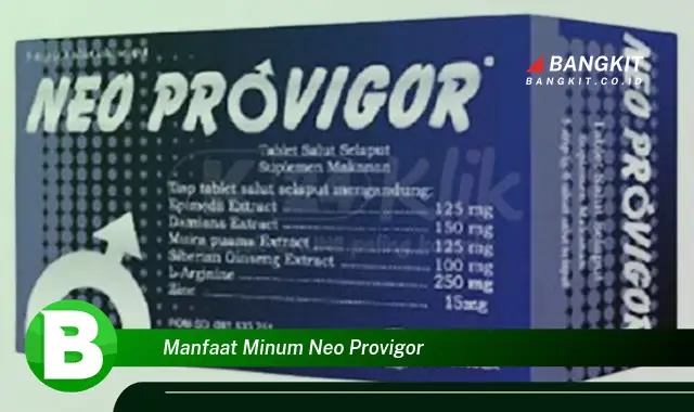 Ketahui Manfaat Minum Neo Provigor yang Wajib Kamu Intip