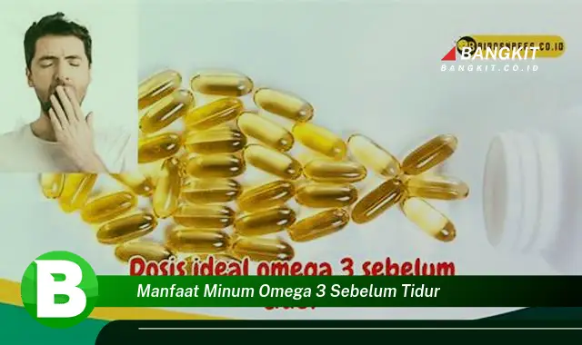 Intip Manfaat Minum Omega 3 Sebelum Tidur yang Wajib Kamu Intip