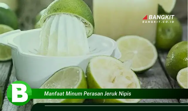 Temukan Manfaat Minum Perasan Jeruk Nipis yang Bikin Kamu Penasaran