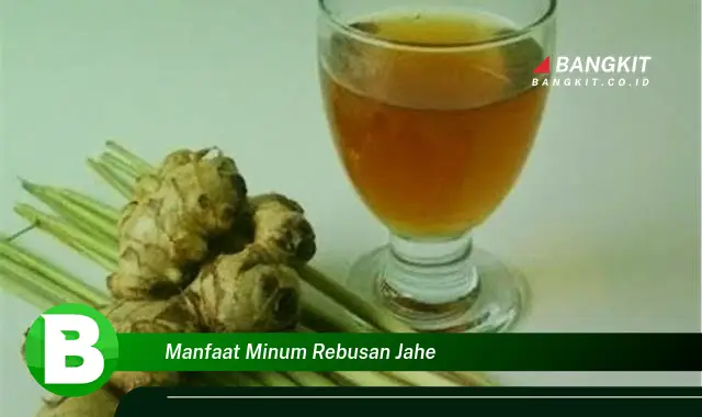 Temukan Manfaat Minum Rebusan Jahe yang Wajib kamu Tau