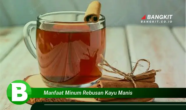 Temukan Manfaat Minum Rebusan Kayu Manis yang Wajib Kamu Tahu