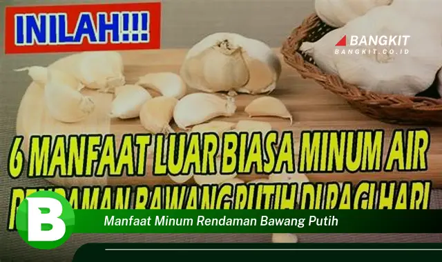 Ketahui Manfaat Minum Rendaman Bawang Putih yang Wajib Kamu Tau