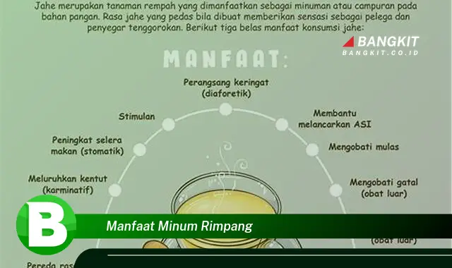 Temukan Manfaat Minum Rimpang yang Bikin Kamu Penasaran